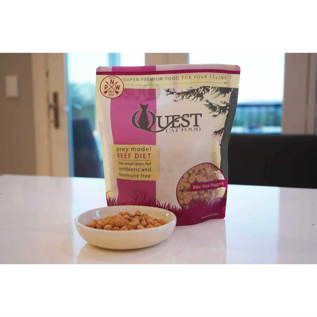 Freeze-Dried Cat Food Nuggets I58095