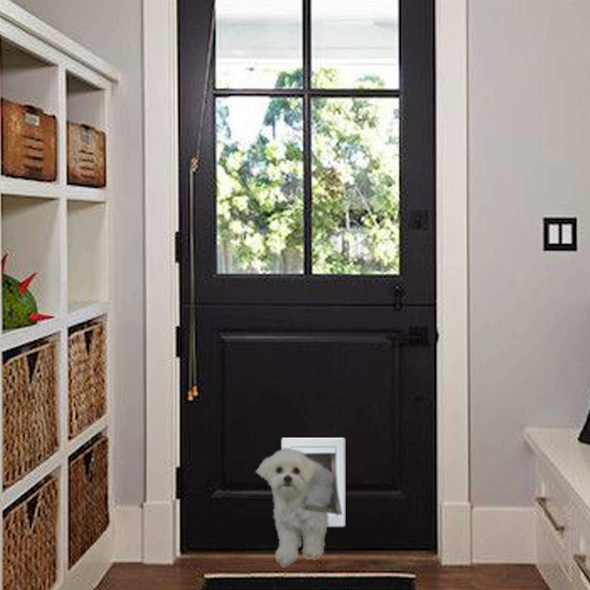 Plastic Pet Door W177