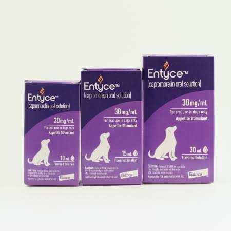 Oral Solution for Dogs L203
