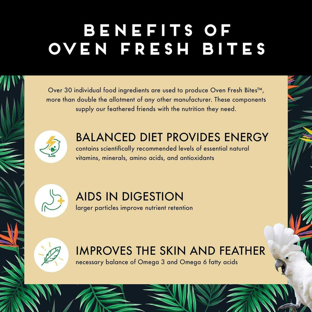 Oven Fresh Bites Large D299397