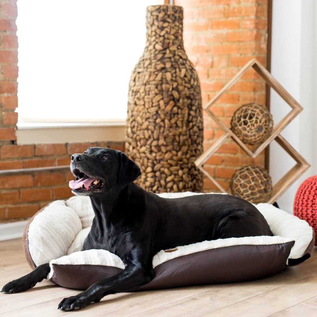 Luxury Pet Couch P45514