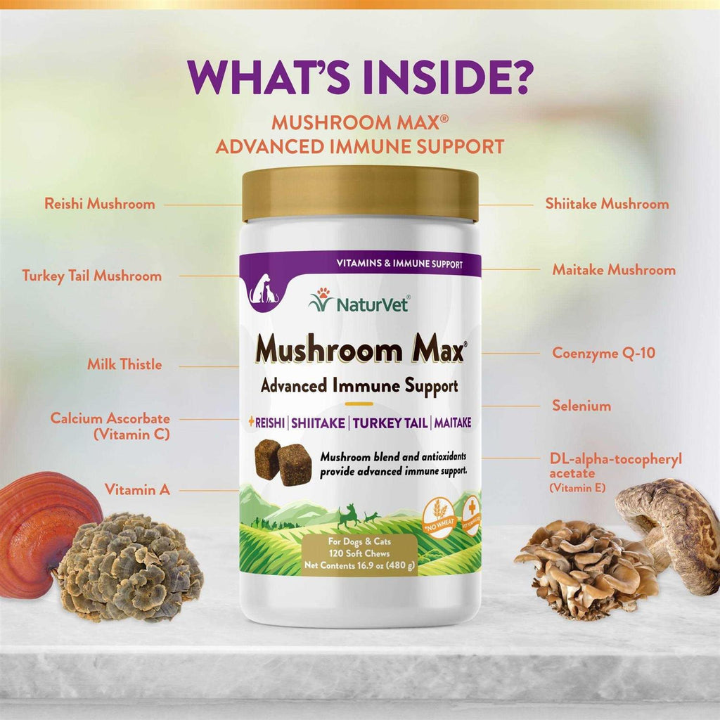 Mushroom Max Soft Chews I6017