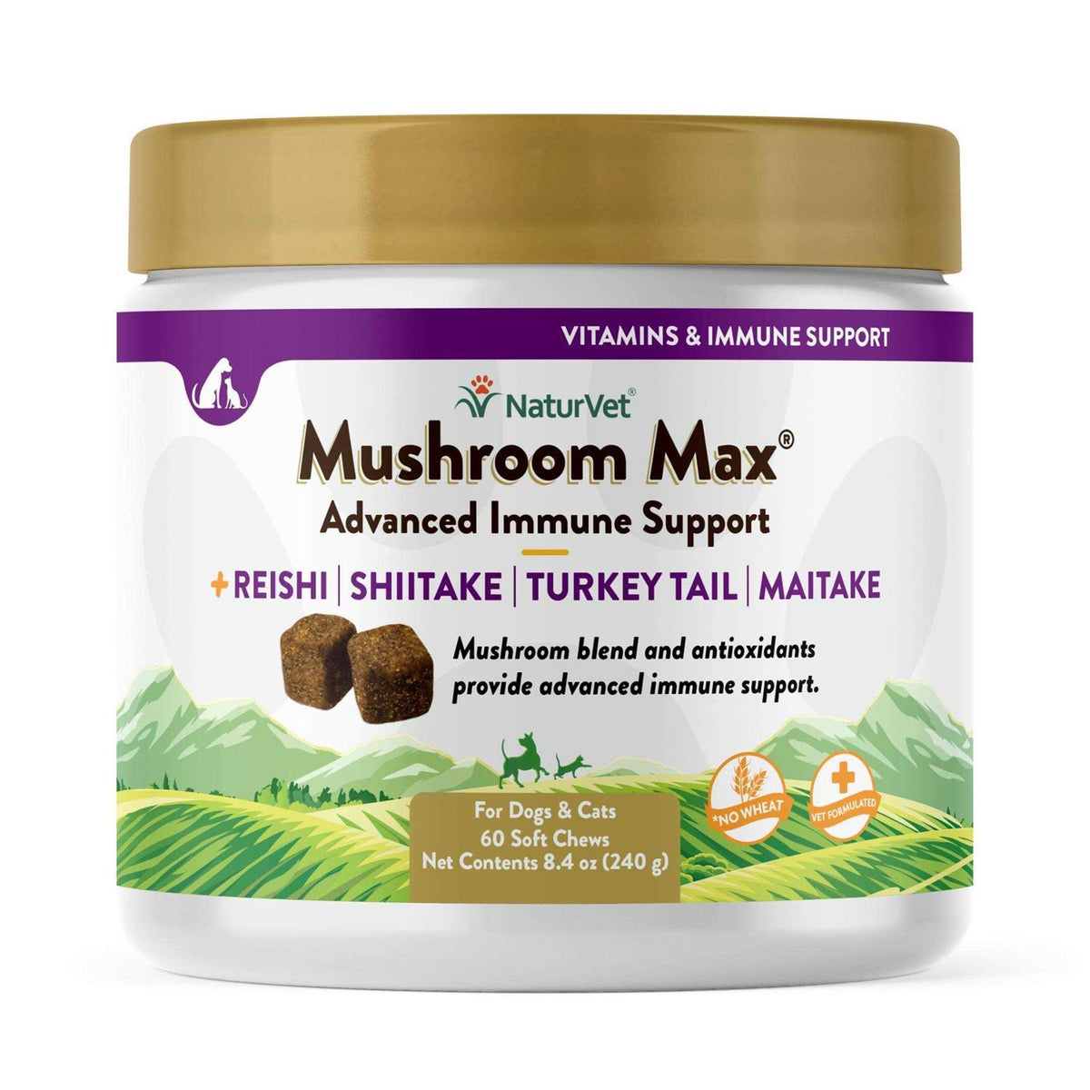 Mushroom Max Soft Chews I6017