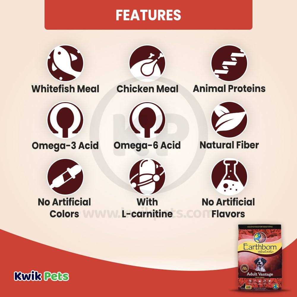 Adult Dog Food A96823