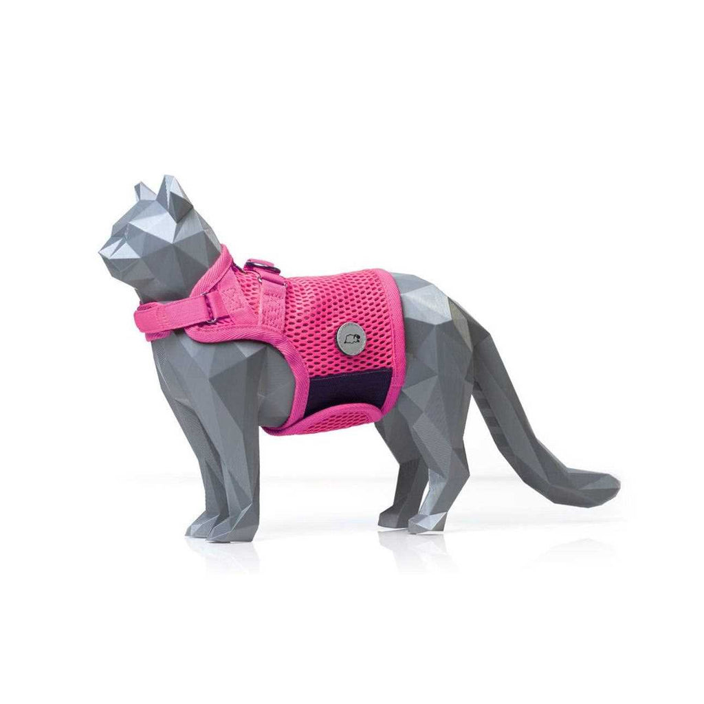 Cat Harness O7984