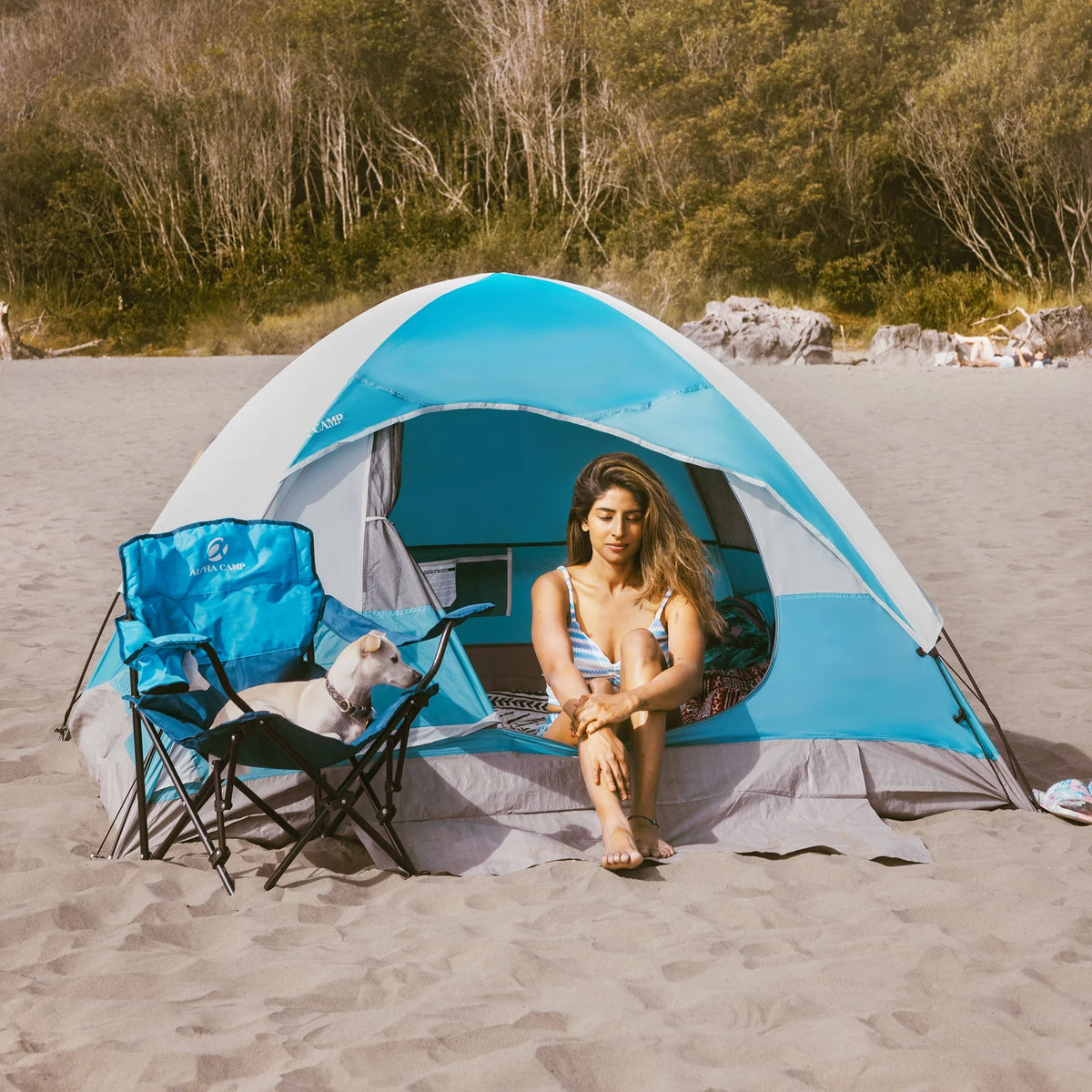 2-Person Waterproof Camping Dome Tent with Carry Bag, Blue D961460
