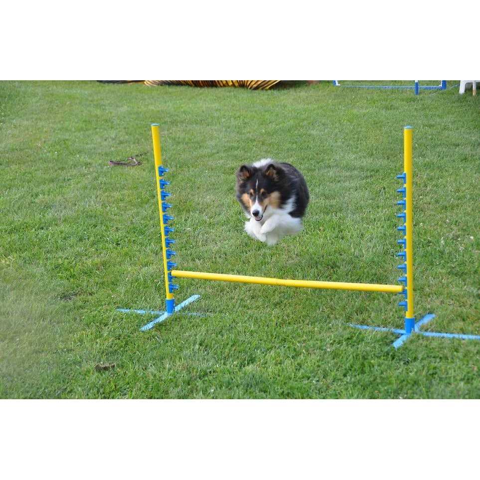 Dog Training Pedestal Jump H7890