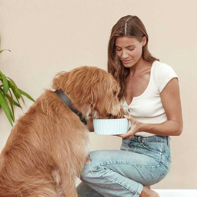 Sweet Potato & Carrot Dry Dog Food Y37130