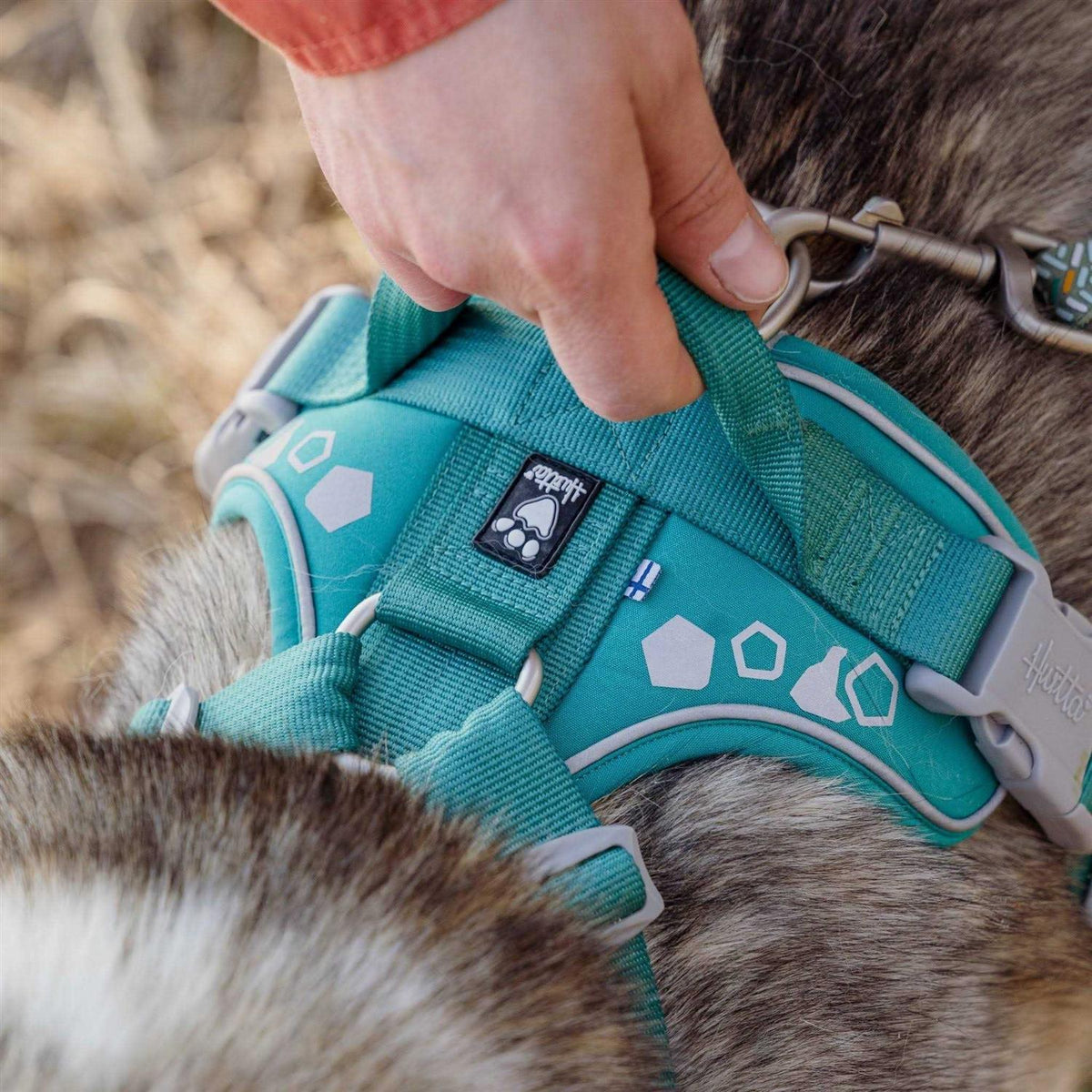 Dog Harness L590