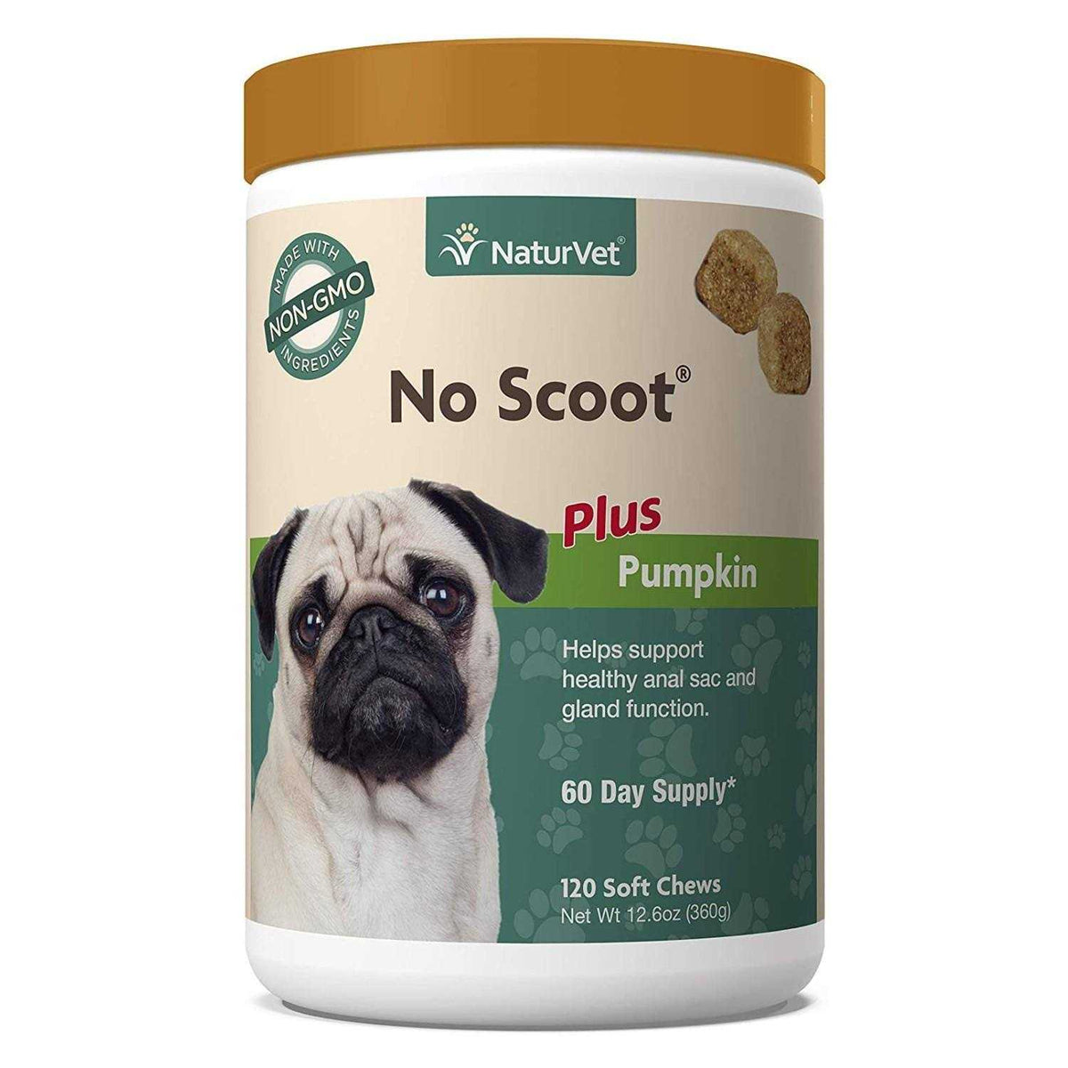 Pumpkin for Dogs G39370