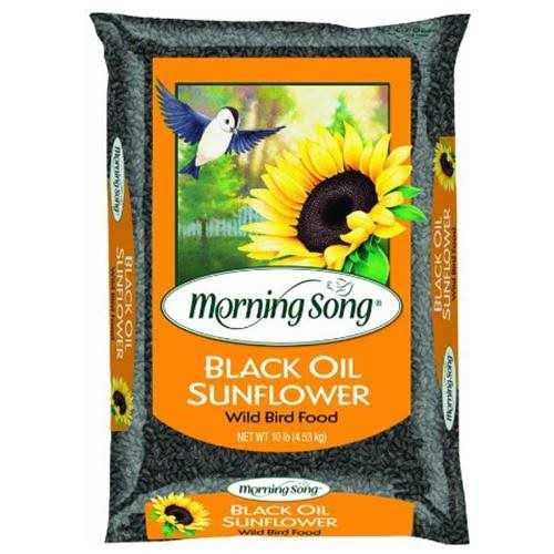Black Oil Sunflower Wild Bird Food R61373