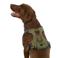 Waste Bag Harness M9405
