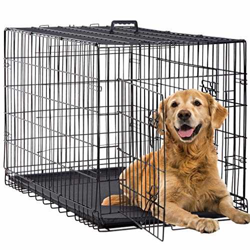 48 Inch Folding Wire Dog Crate with Double-Door A362132