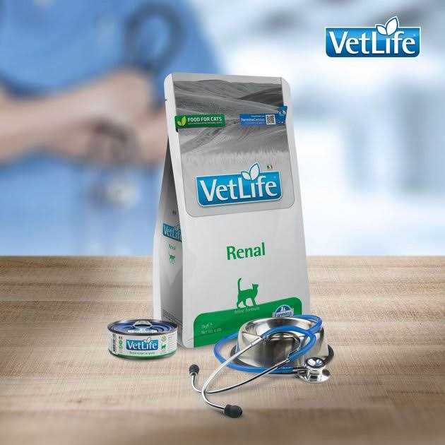 Vet Life Renal Y40817