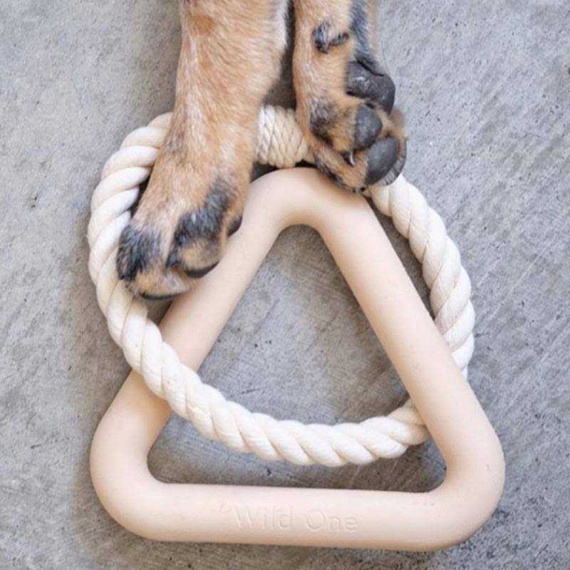 Triangle Tug Dog Toy X825752