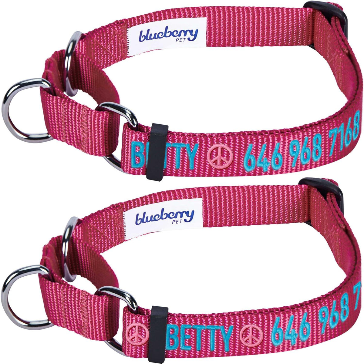 Martingale Safety Training Dog Collar W73634