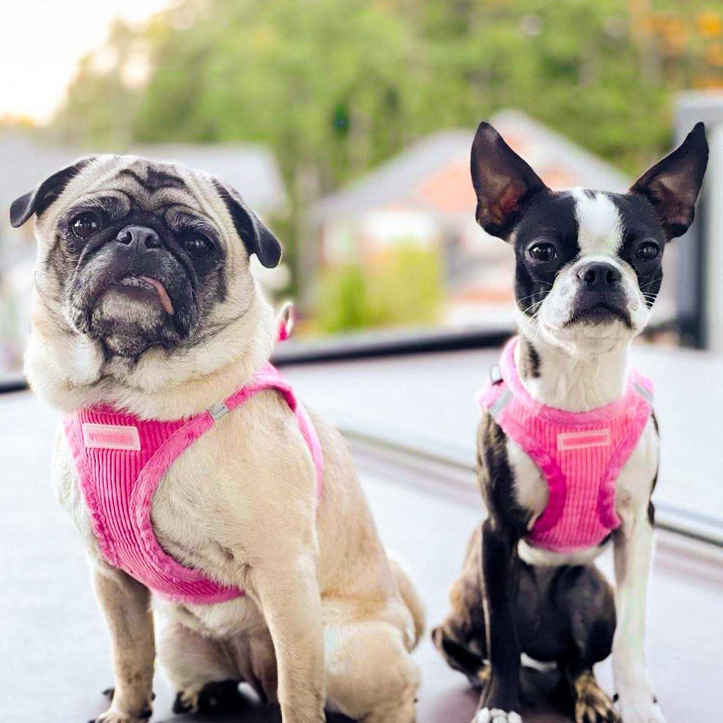Step-In Plush Dog Harness W76949