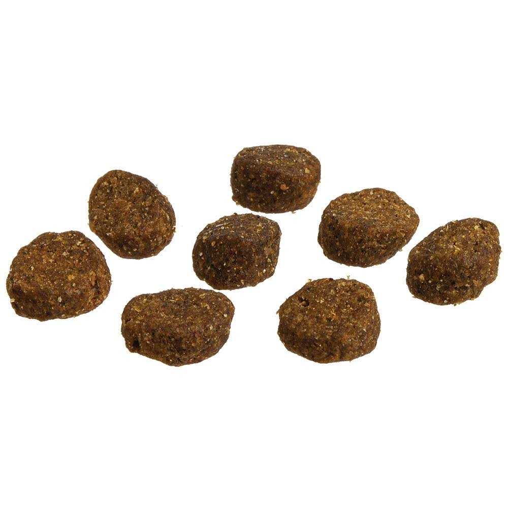 Whole Grain Dog Food N172775