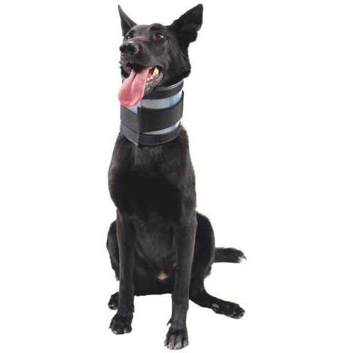 Cervical Collar V9296