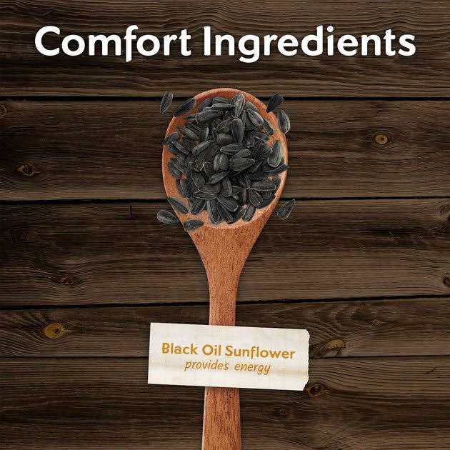 Black Oil Sunflower Wild Bird Food R61373
