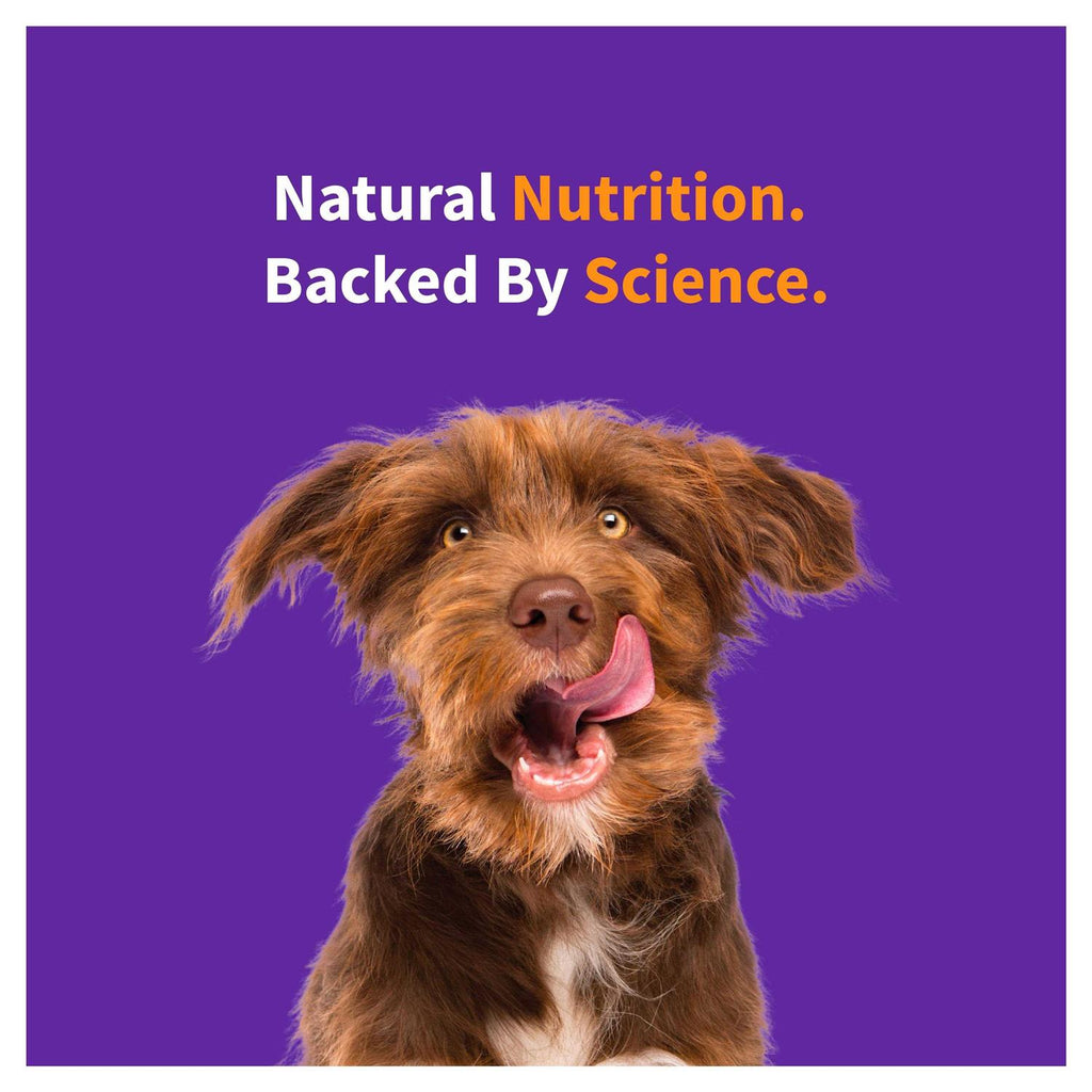 Red Meat Recipe Dry Dog Food H7941