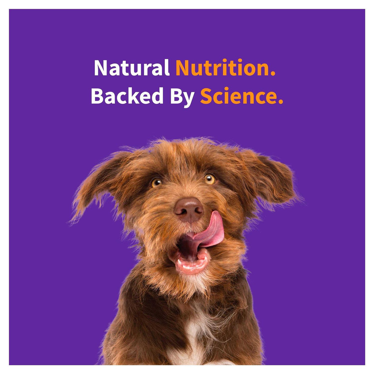Red Meat Recipe Dry Dog Food H7941