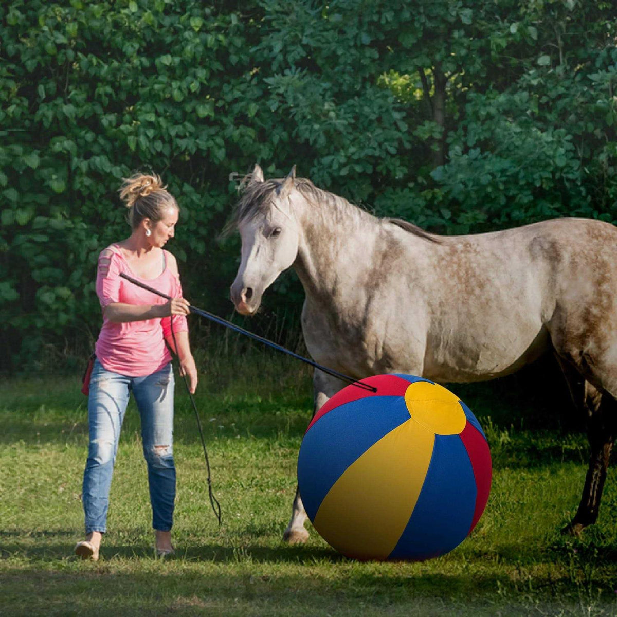 Herding Ball for Horses with Hand Pump K9984