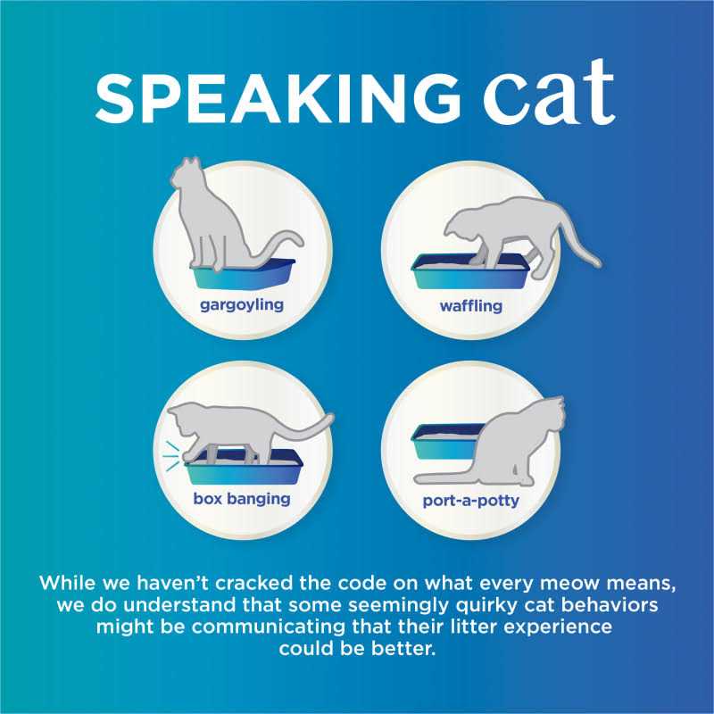 Unscented Clumping Cat Litter U85280