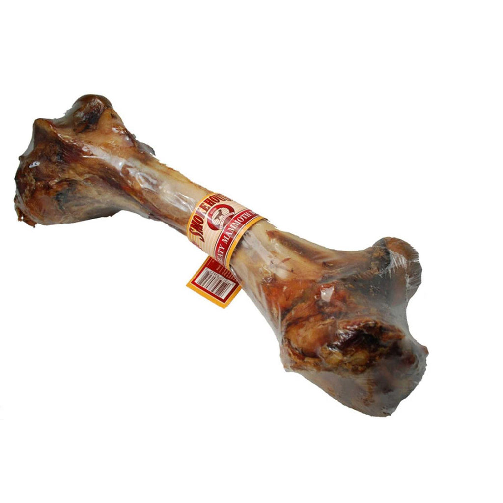 Meaty Mammoth Bone J370