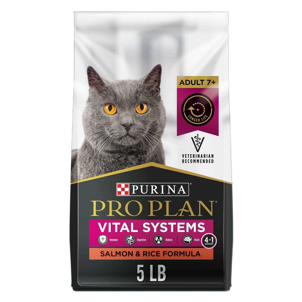 Salmon and Rice Senior Dry Cat Food H6097