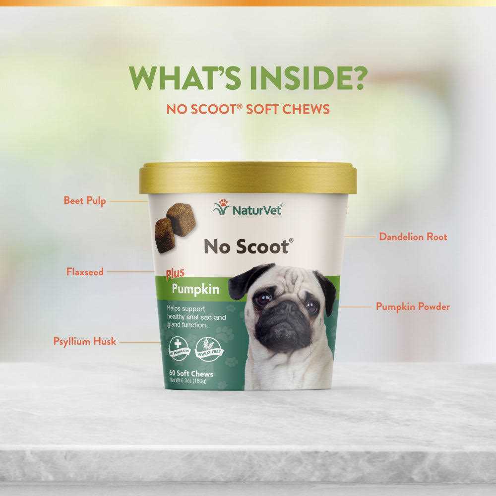 Pumpkin for Dogs G39370