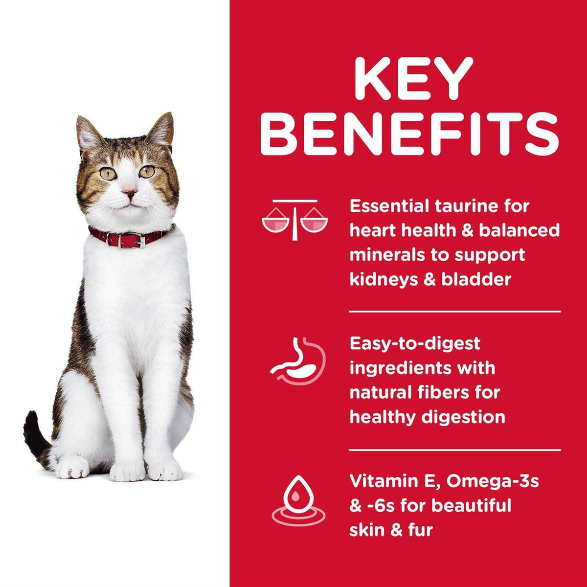 Adult 7+ Chicken Recipe Dry Cat Food Z112