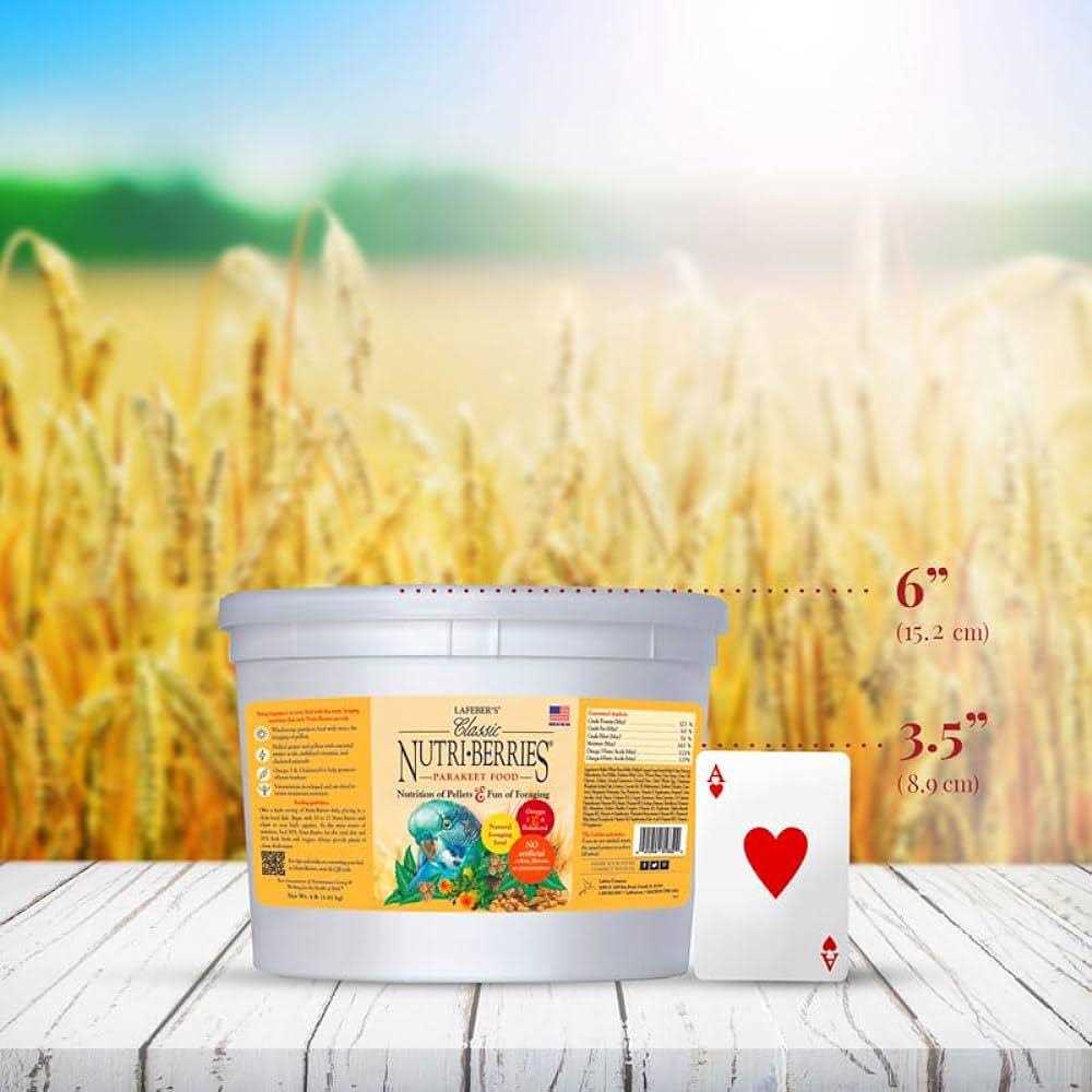 Nutri Berries Food Y700429