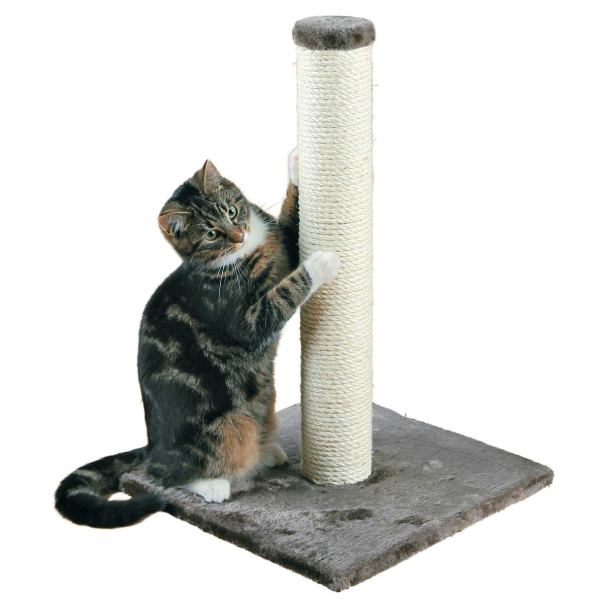 Scratching Post U1466