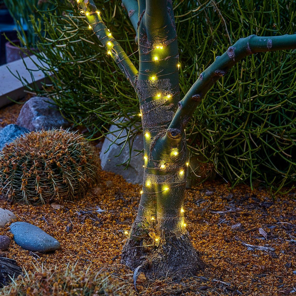 Warm White Copper Wire Lights with Remote L249