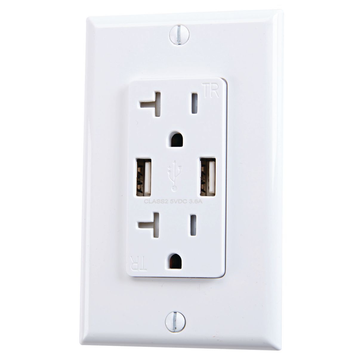 20 Amp 125v 2 USB Rapid Charging Outlet L36101