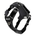 Dog Harness A30056