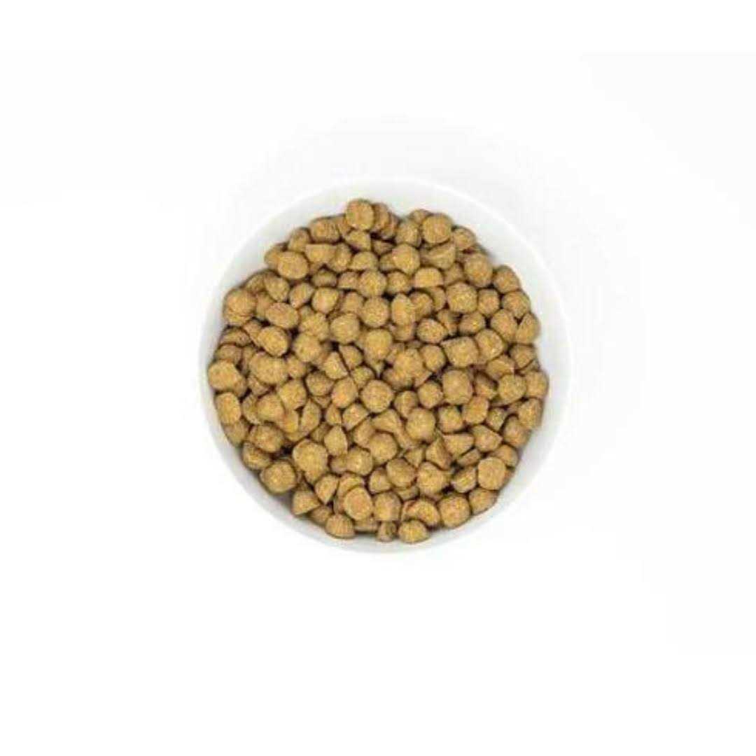 Raw Coated Kibble with Wholesome Grains Dog I1797