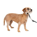 Headcollar E83970