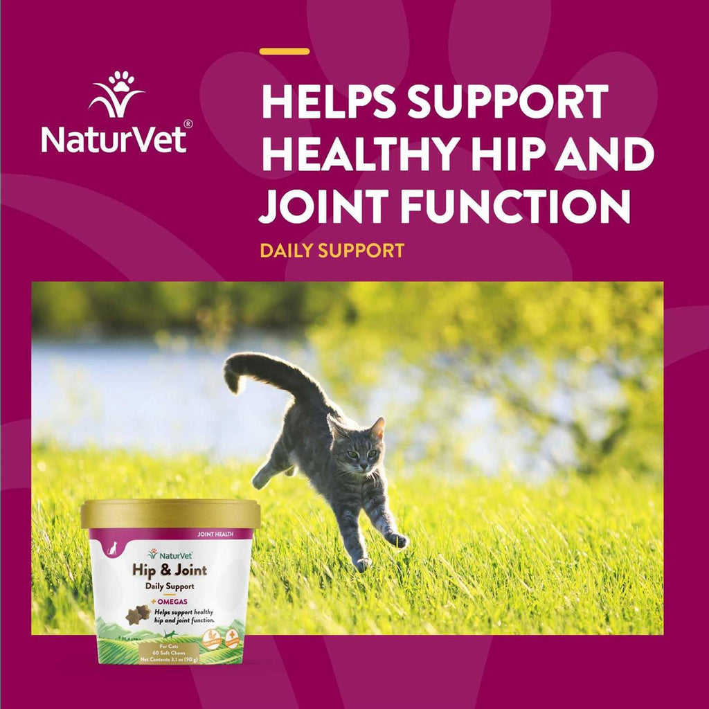 Hip & Joint Soft Chews Cat Supplement A11216