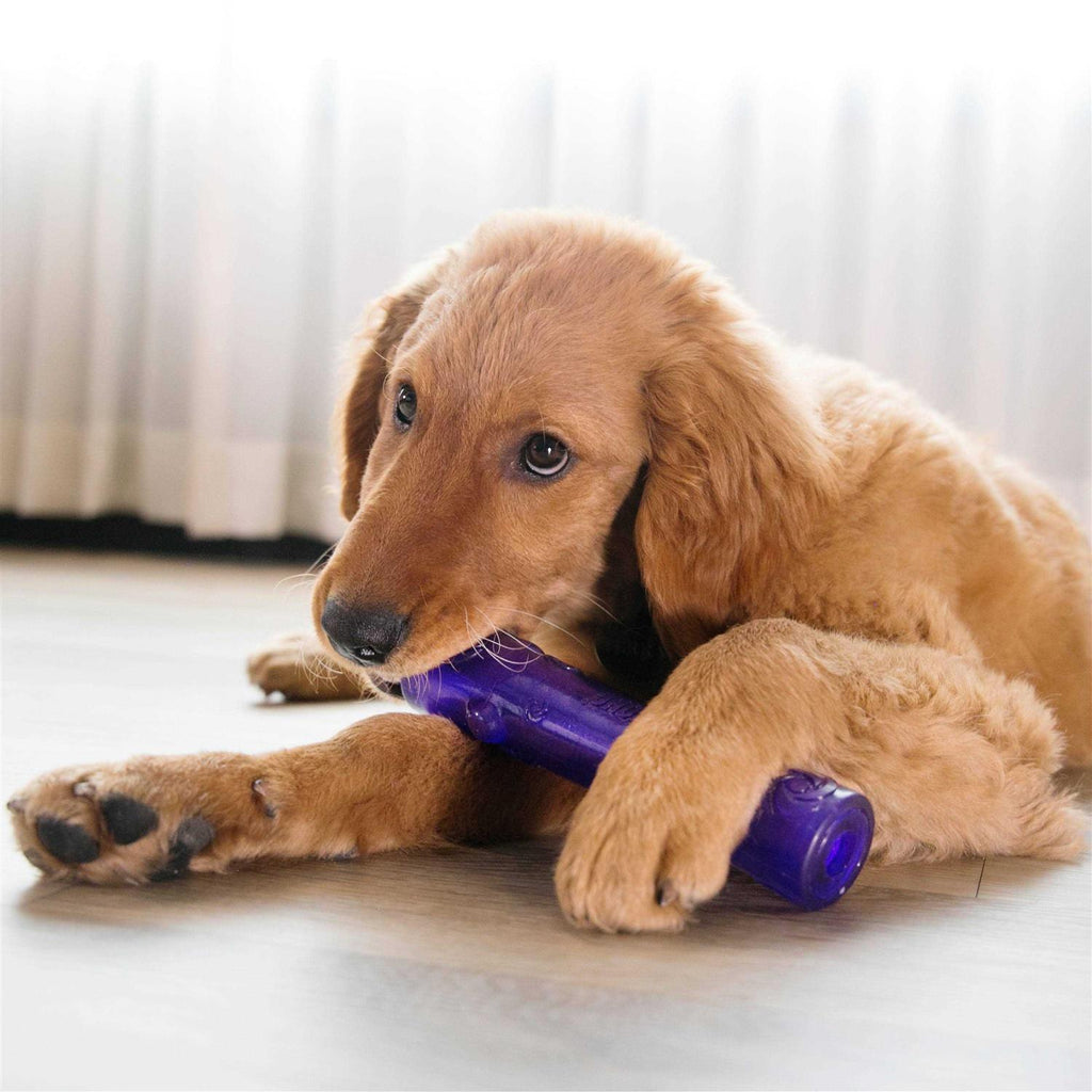 Dog Toy W7623