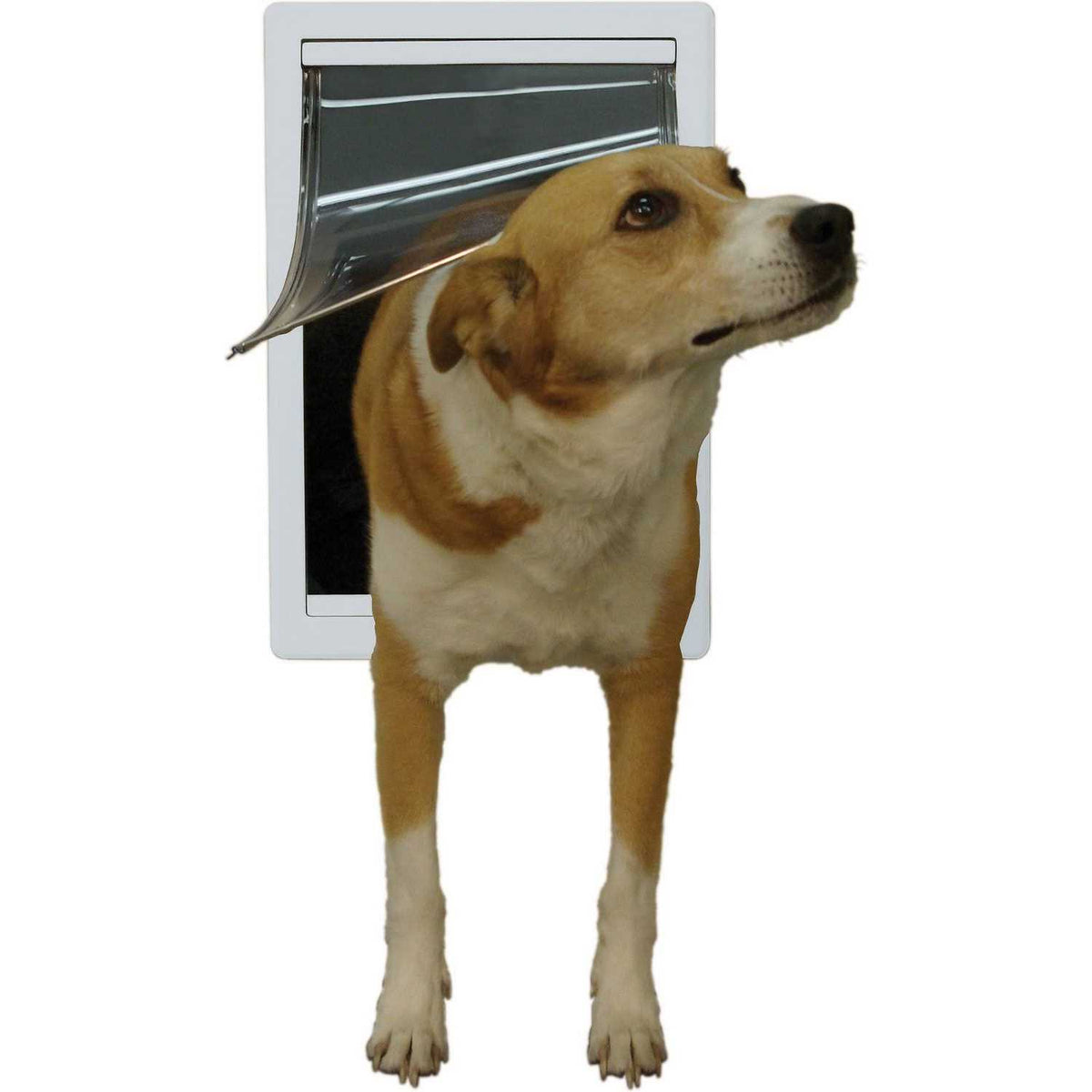 Plastic Pet Door W177