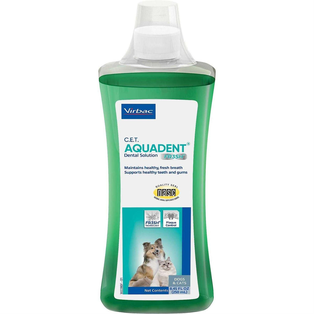 Dental Solution A69295