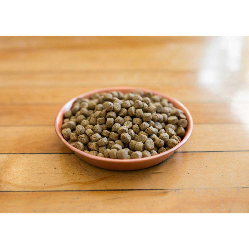 Dry Dog Food Y6403