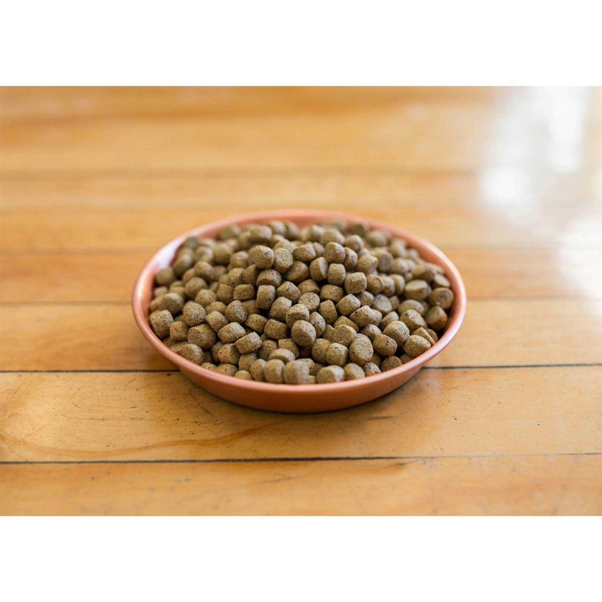 Dry Dog Food Y6403