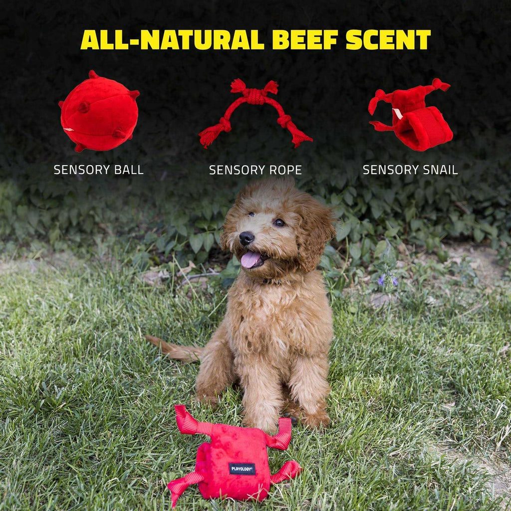 Puppy Dog Toy H531