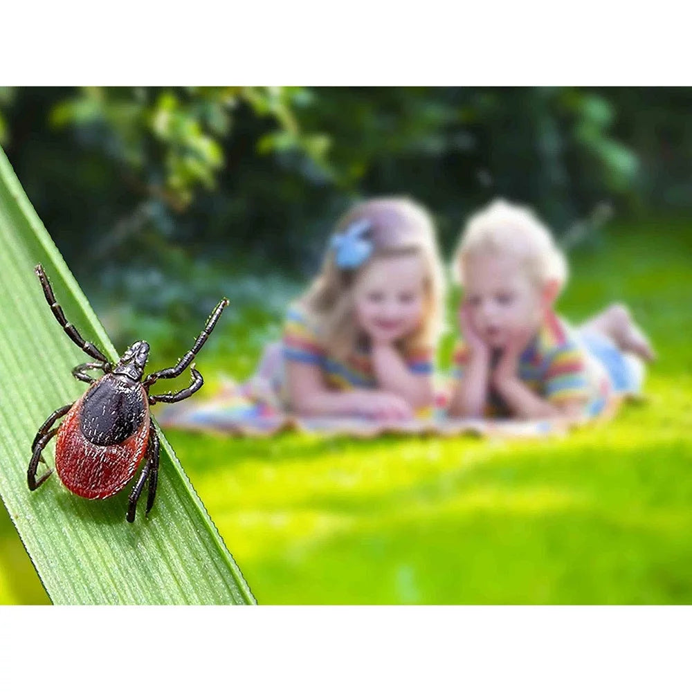 Insect Repellent Device 12 pk B491