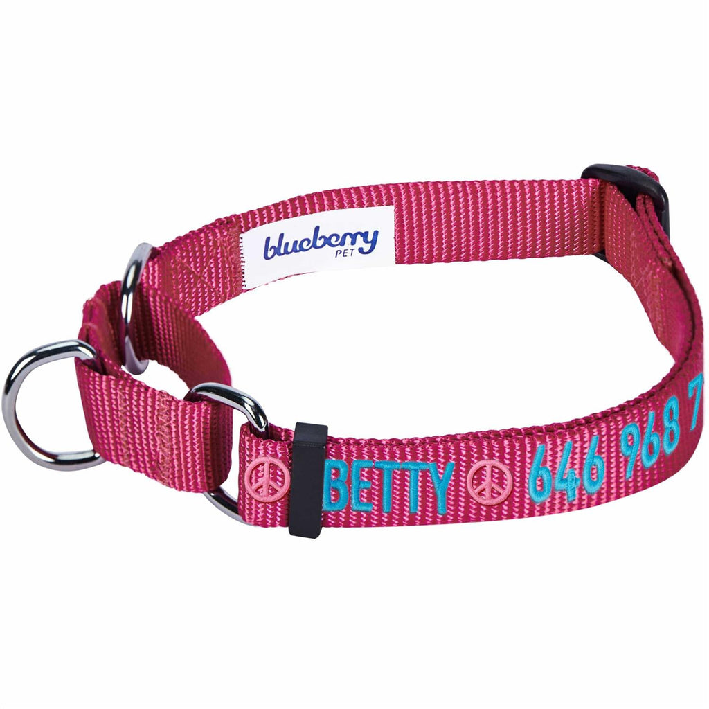 Martingale Safety Training Dog Collar W73634