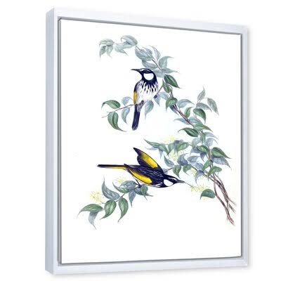 Vintage Australian Birds on A Branch Painting on Canvas V80285