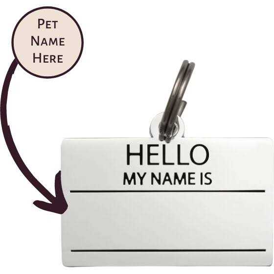 Hello My Name is ID Tag Z279665